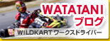 WATATANI�u���O�@WILDKART���[�N�X�h���C�o�[
