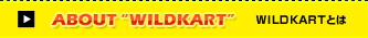 ABOUT"WILDKART"�@WILDKART�Ƃ�