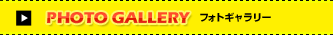 PHOTO GALLERY�@�t�H�g�M�������[
