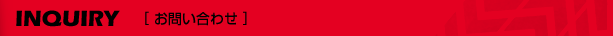 INQUIRY[���₢���킹]