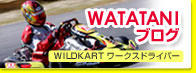 WATATANI�u���O�@WILDKART���[�N�X�h���C�o�[