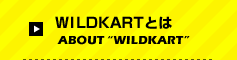 WILDKART�Ƃ�