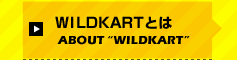 WILDKART�Ƃ�